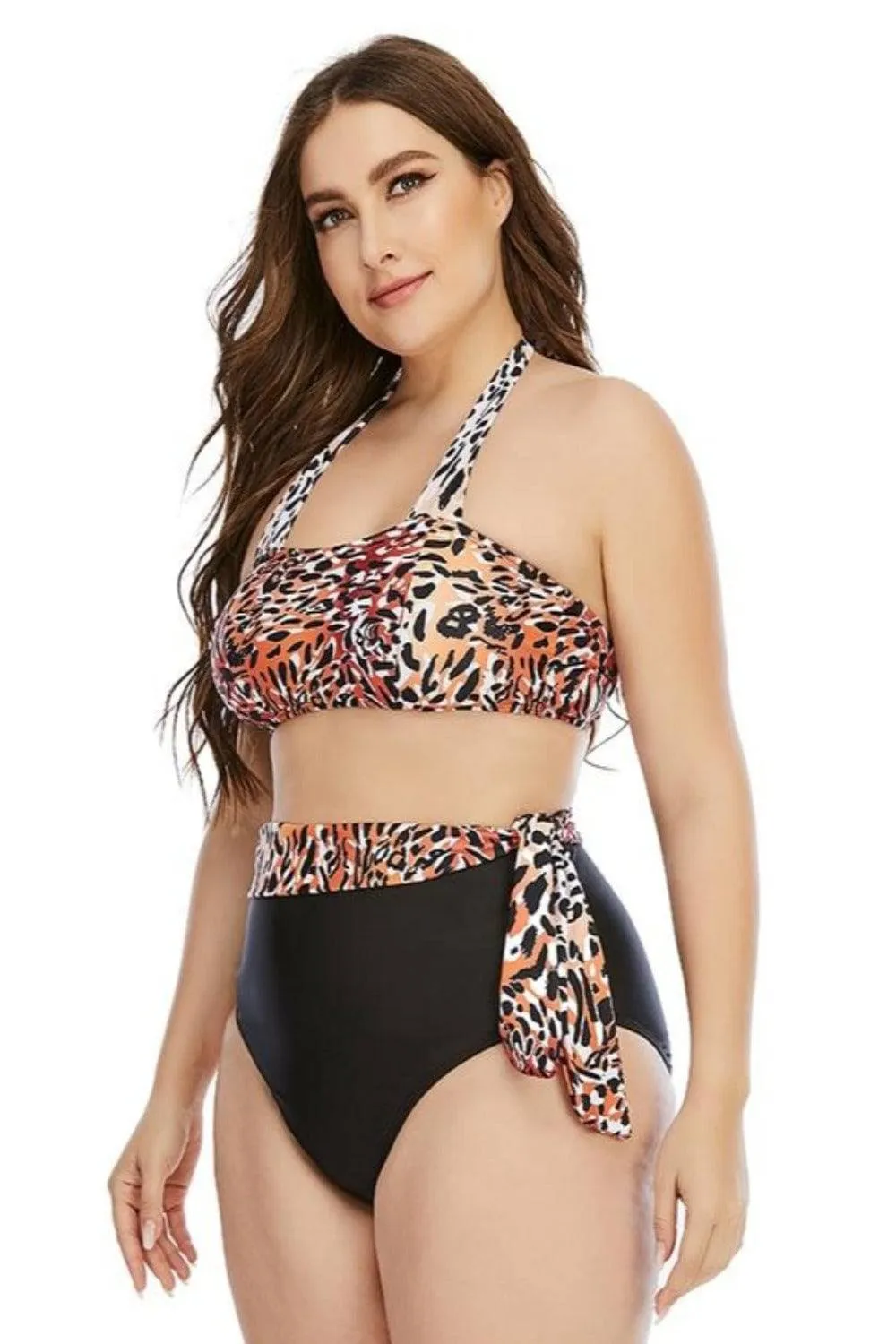 Leopard Two-Piece Plus size Tummy Control High Waist Bikini Swimsuit
